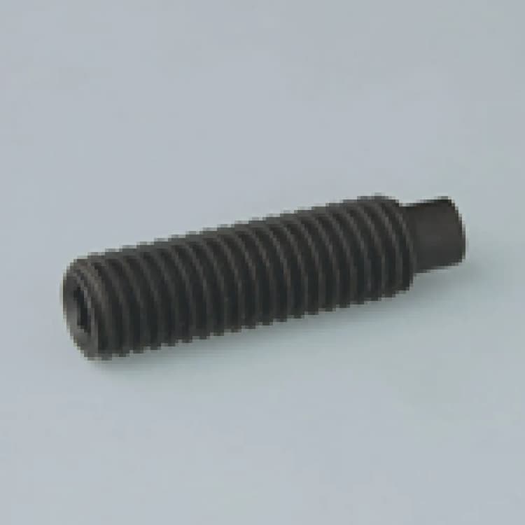 Винт М5х8, DIN 915 / ISO 4028 установочный с внутренним шестигранником с цилиндрическим концом, нержавеющая сталь А2